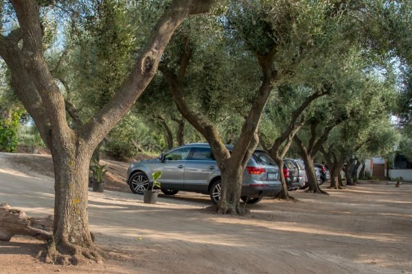 Double Room in B&B with Private Beach. Sunset Yoga.