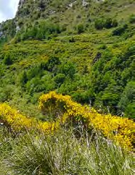 Albergo diffuso