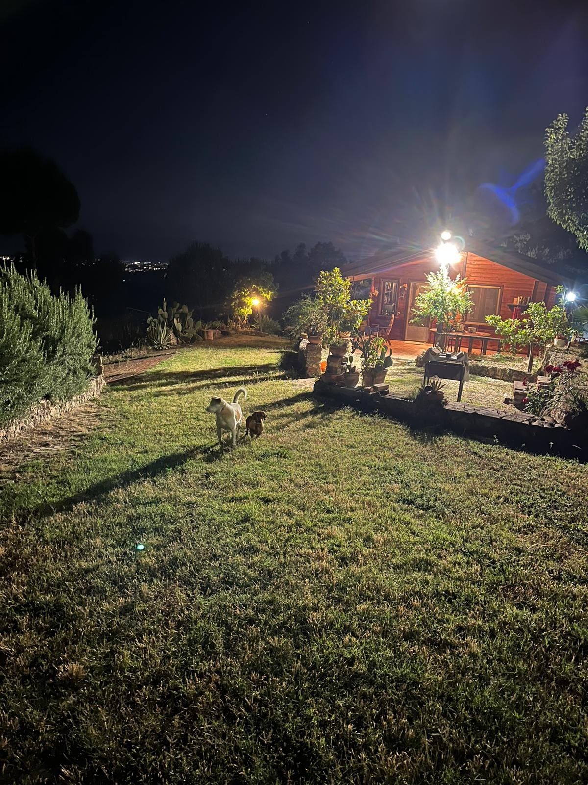 Villa mit Anwesen in den Hügeln von Siderno Superiore – zwischen Meer, Natur und Entspannung