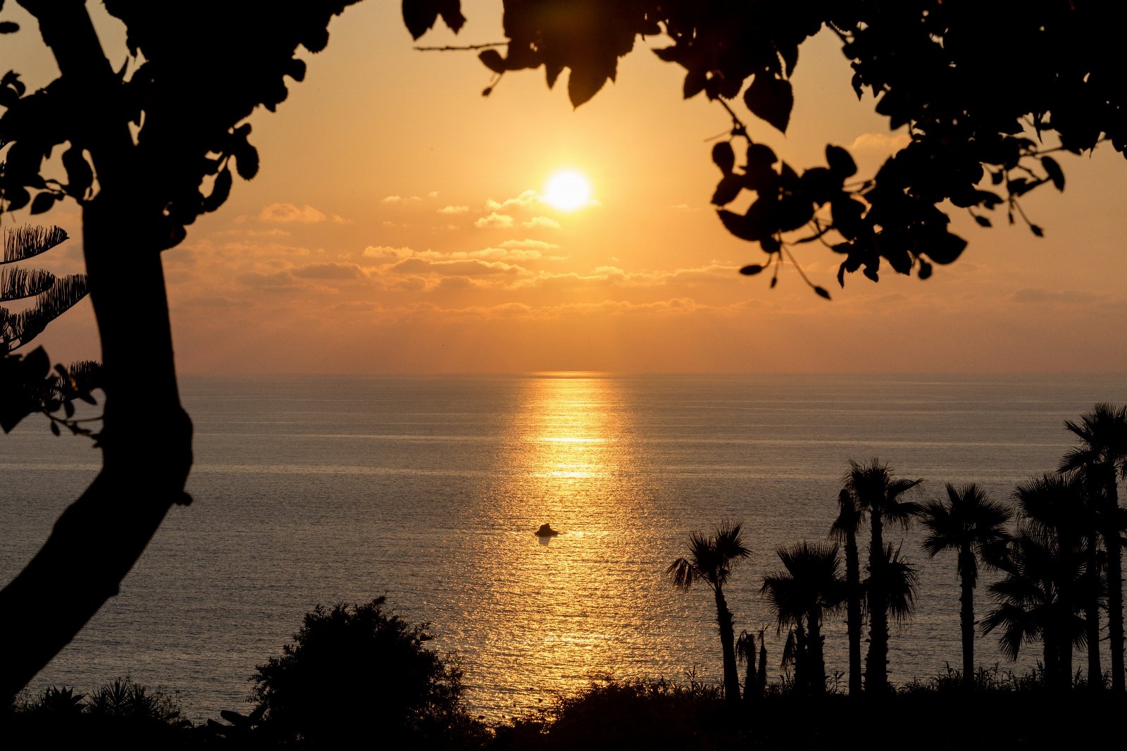 Double Room in B&B with Private Beach. Sunset Yoga.