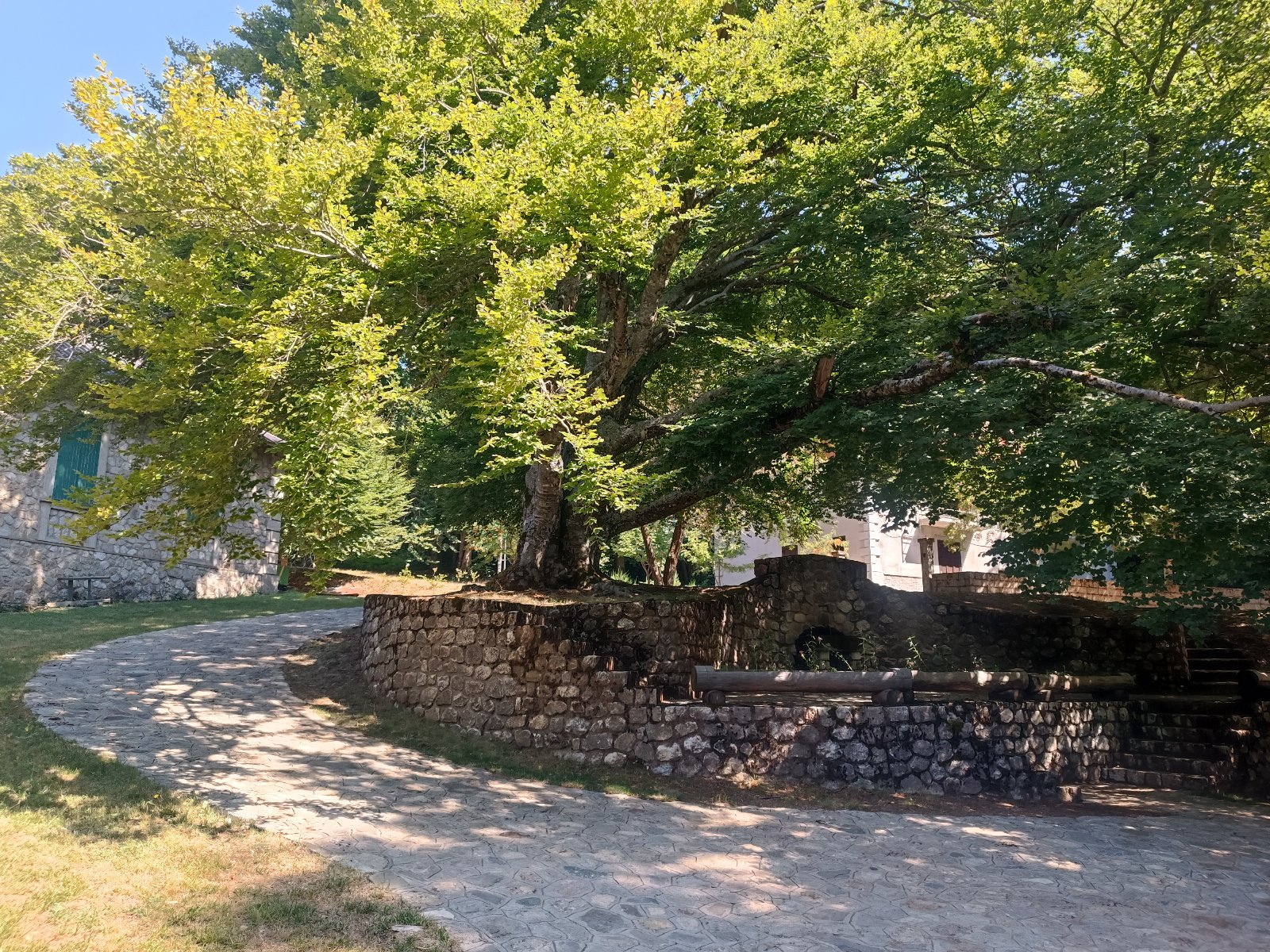 Pungitopo accogliente appartamento in montagna