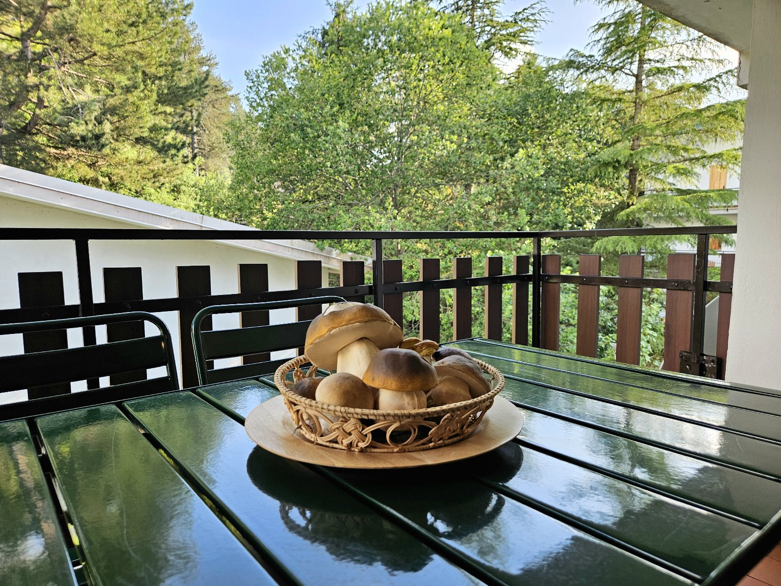 Le Muse Apartment | Natura e Relax in Sila a 3 minuti da Camigliatello