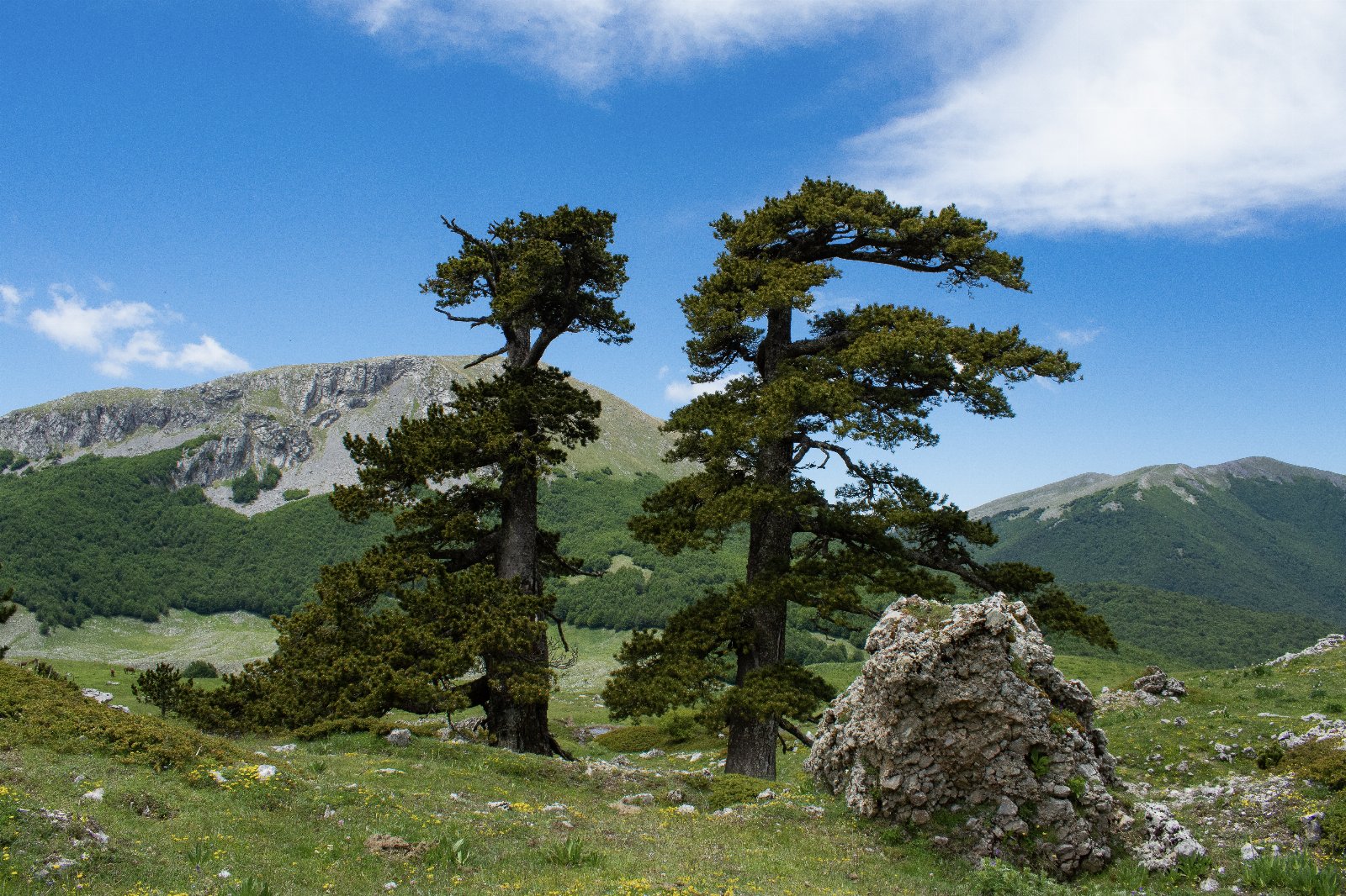 Chalet di montagna con spa