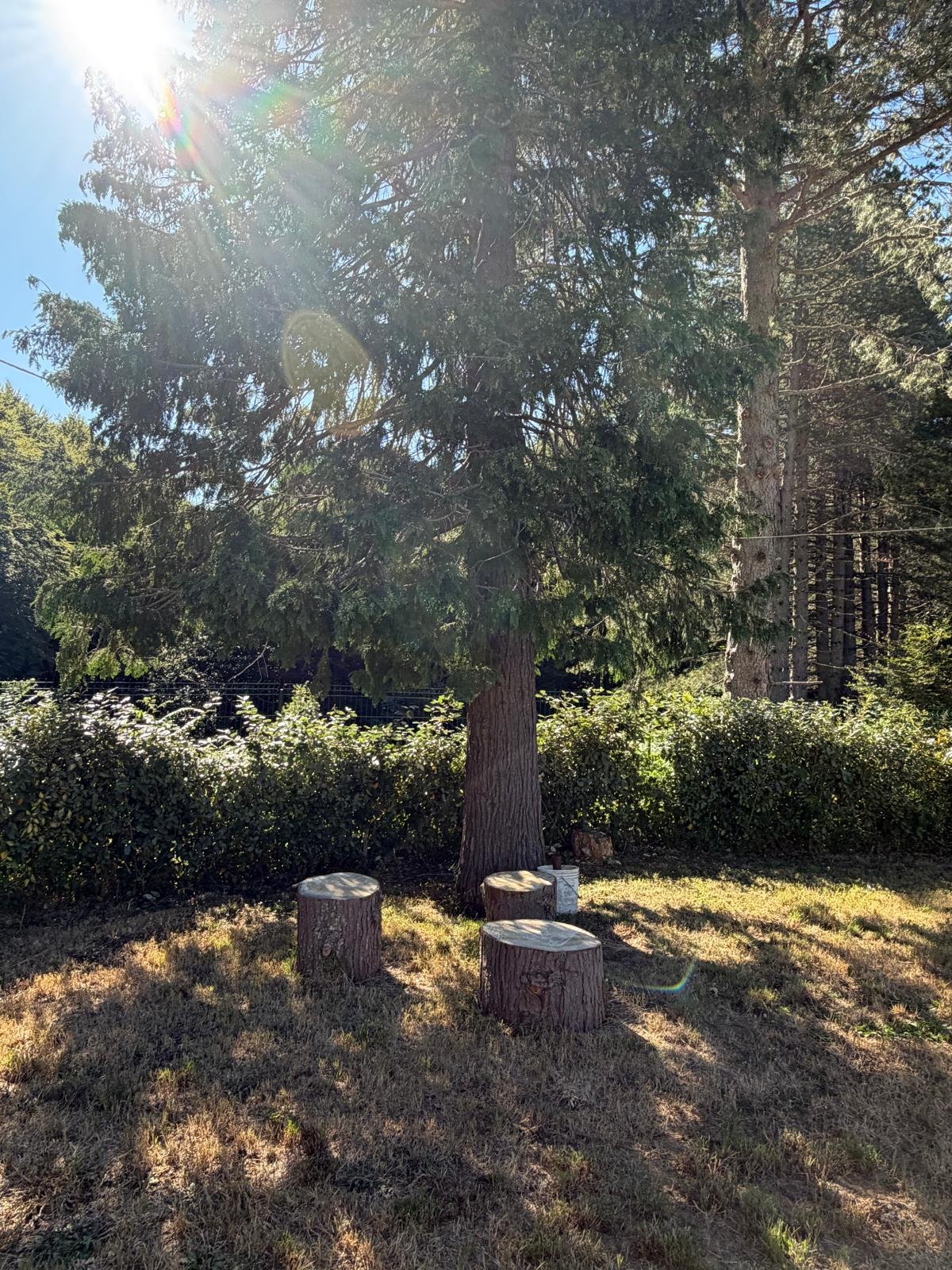 Casa Vacanze Gambarie - Lago Rumia