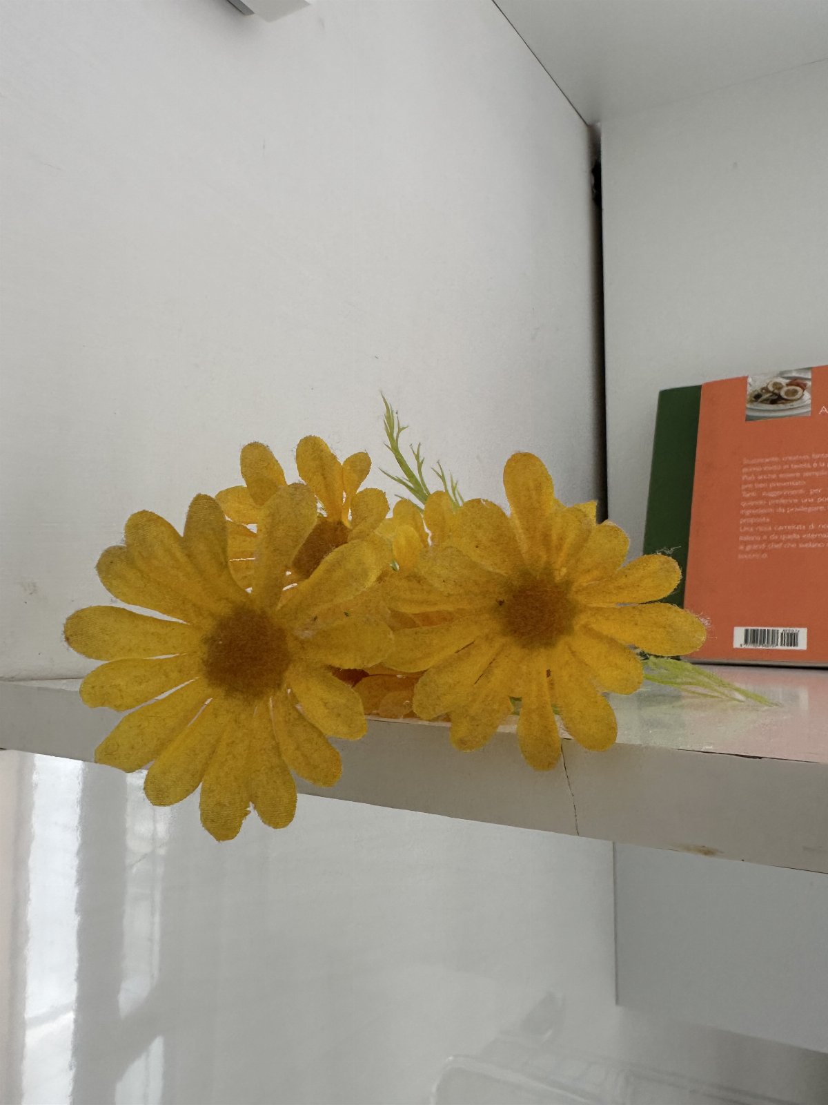 Daisy - Stars Home Tropea