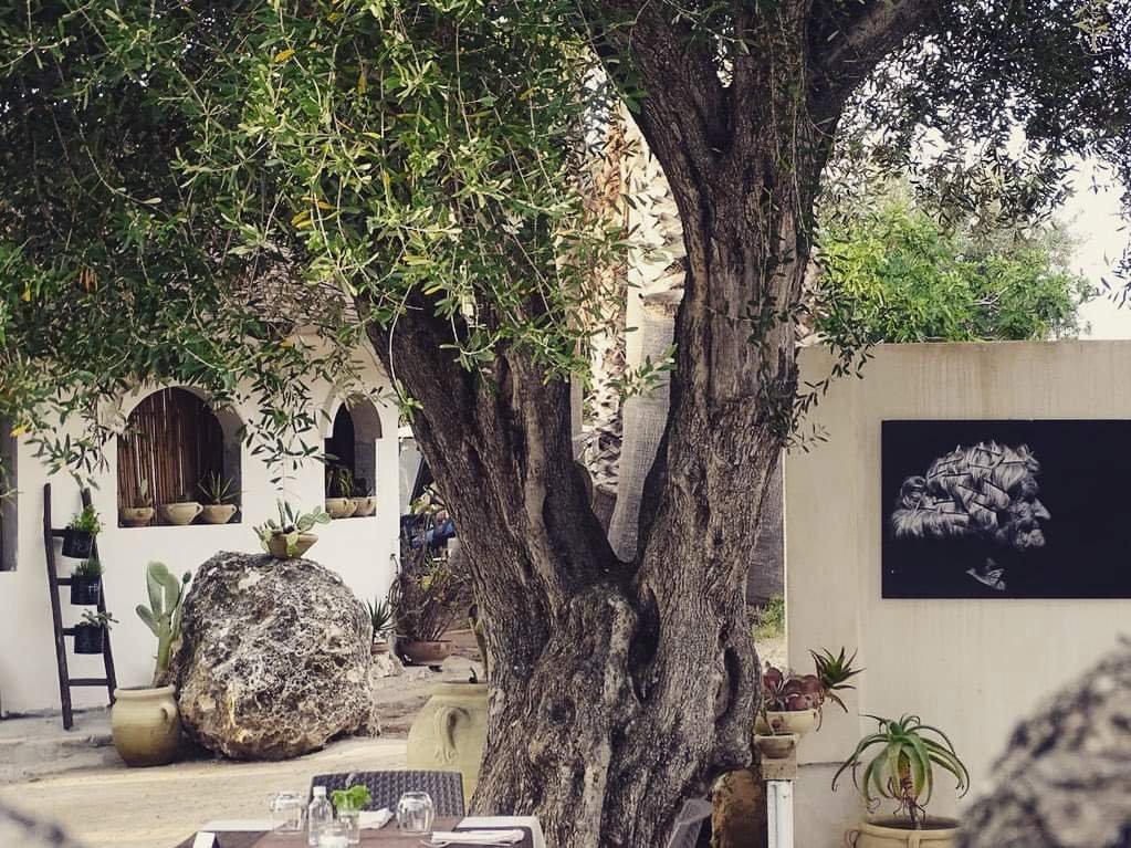 Appartement deux pièces pour 2 personnes avec cuisine et vue mer. Plage privée. Yoga au coucher du soleil.