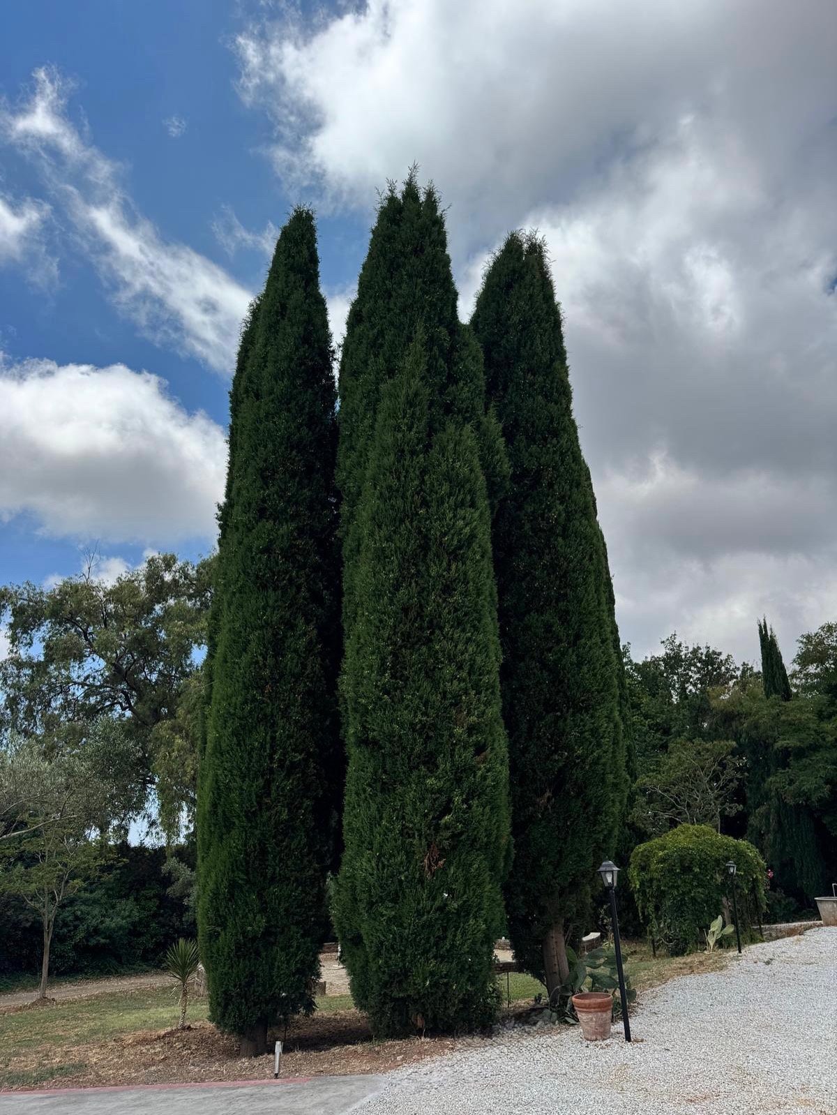 B&B Casa Vacanze Lydia offre la possibilità di usufruire o dell’ intero appartamento composto da 3 stanze e 2 letti con cucina e soggiorno o di anche solo le stanze con il bagno privato .