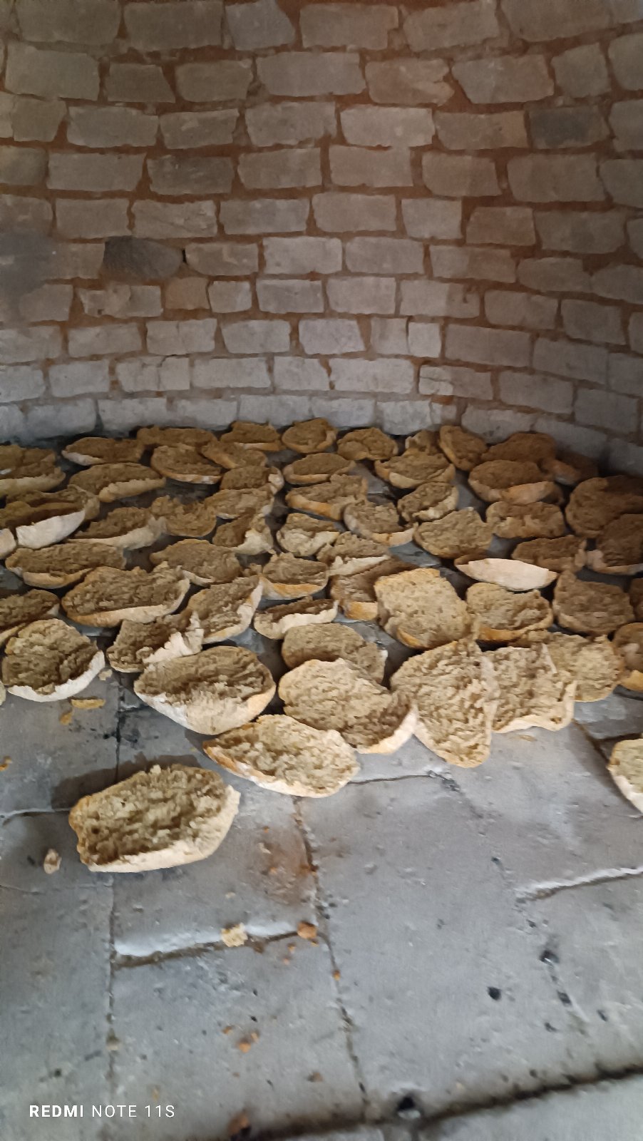Case per le vacanze, bed and breakfast , agricampeggio, vendita di prodotti aziendali biologici, turismo delle esperienze, panificazione e corsi di cucina, trekking, eventi, tornei di burraco e bridge