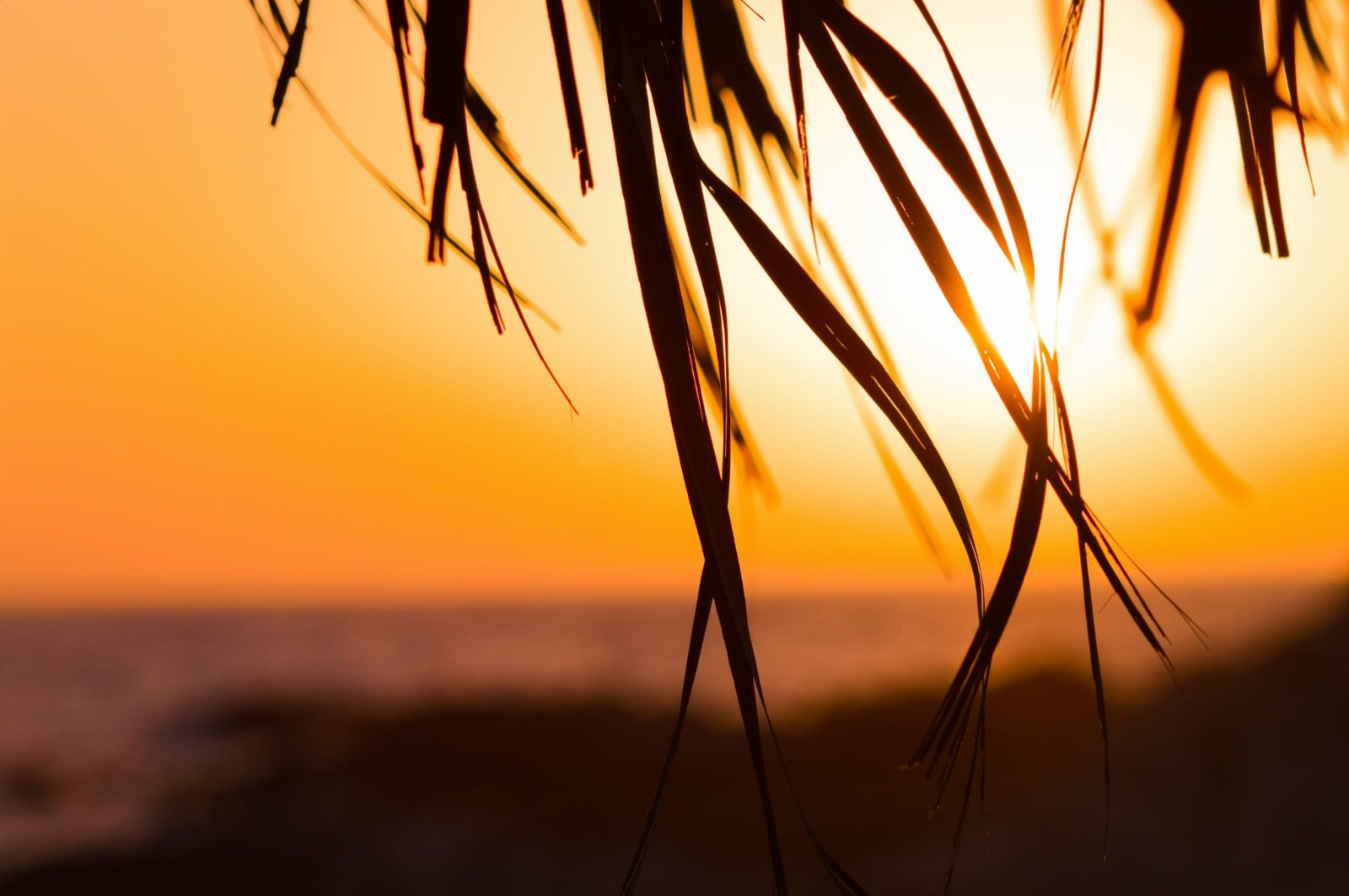 Double Room in B&B with Private Beach. Sunset Yoga.