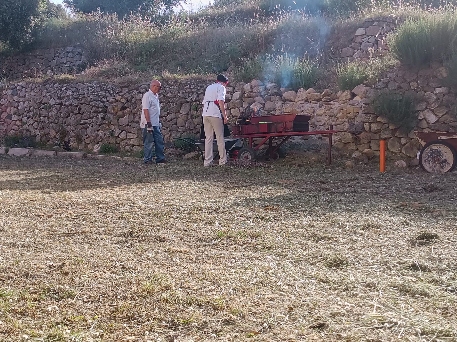Case per le vacanze, bed and breakfast , agricampeggio, vendita di prodotti aziendali biologici, turismo delle esperienze, panificazione e corsi di cucina, trekking, eventi, tornei di burraco e bridge