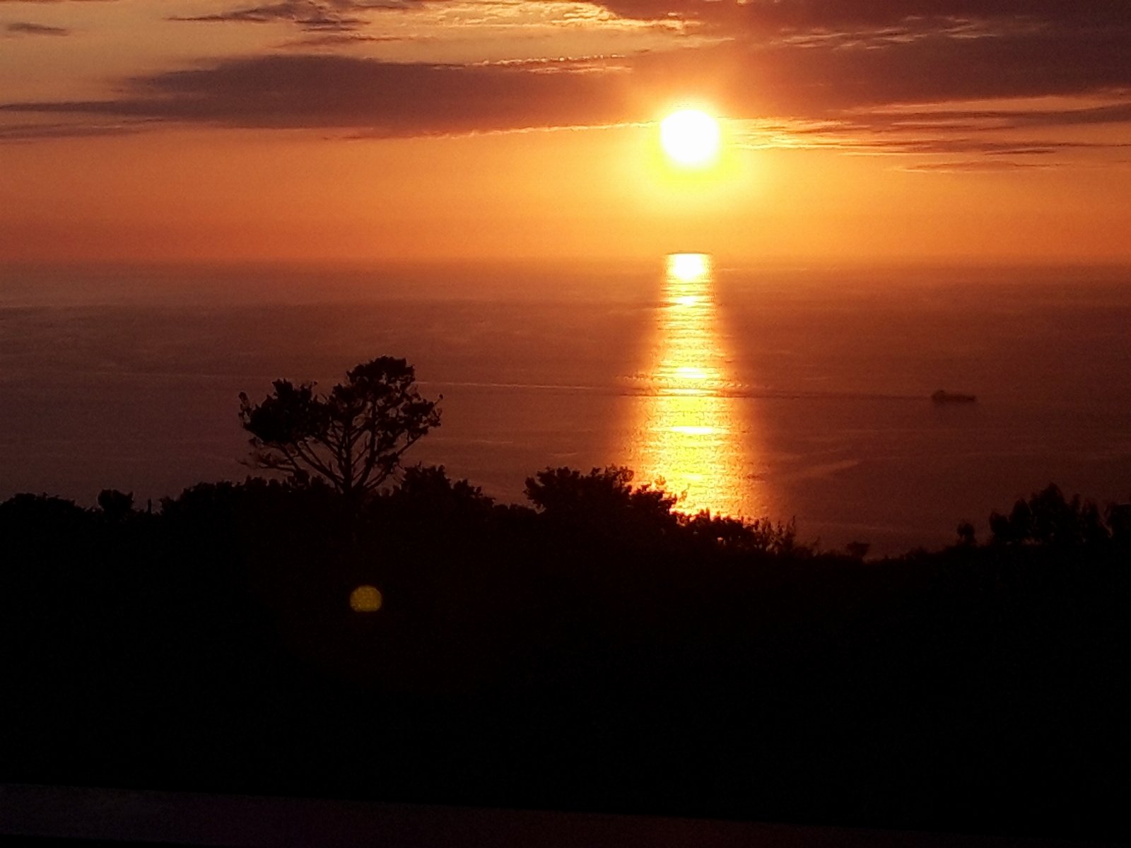 Affittacamere b&b isidoro