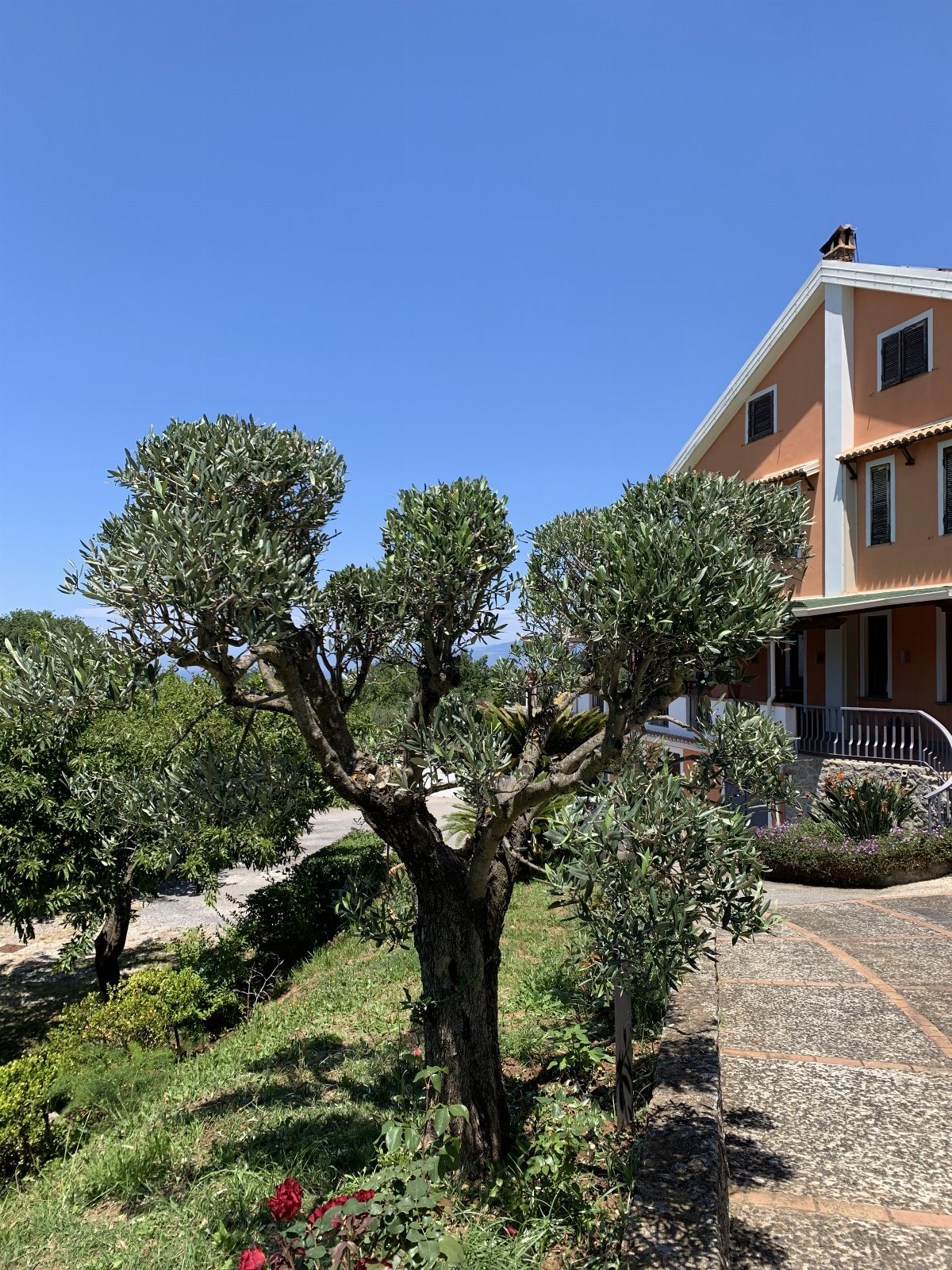 Villa con piscina vista mare