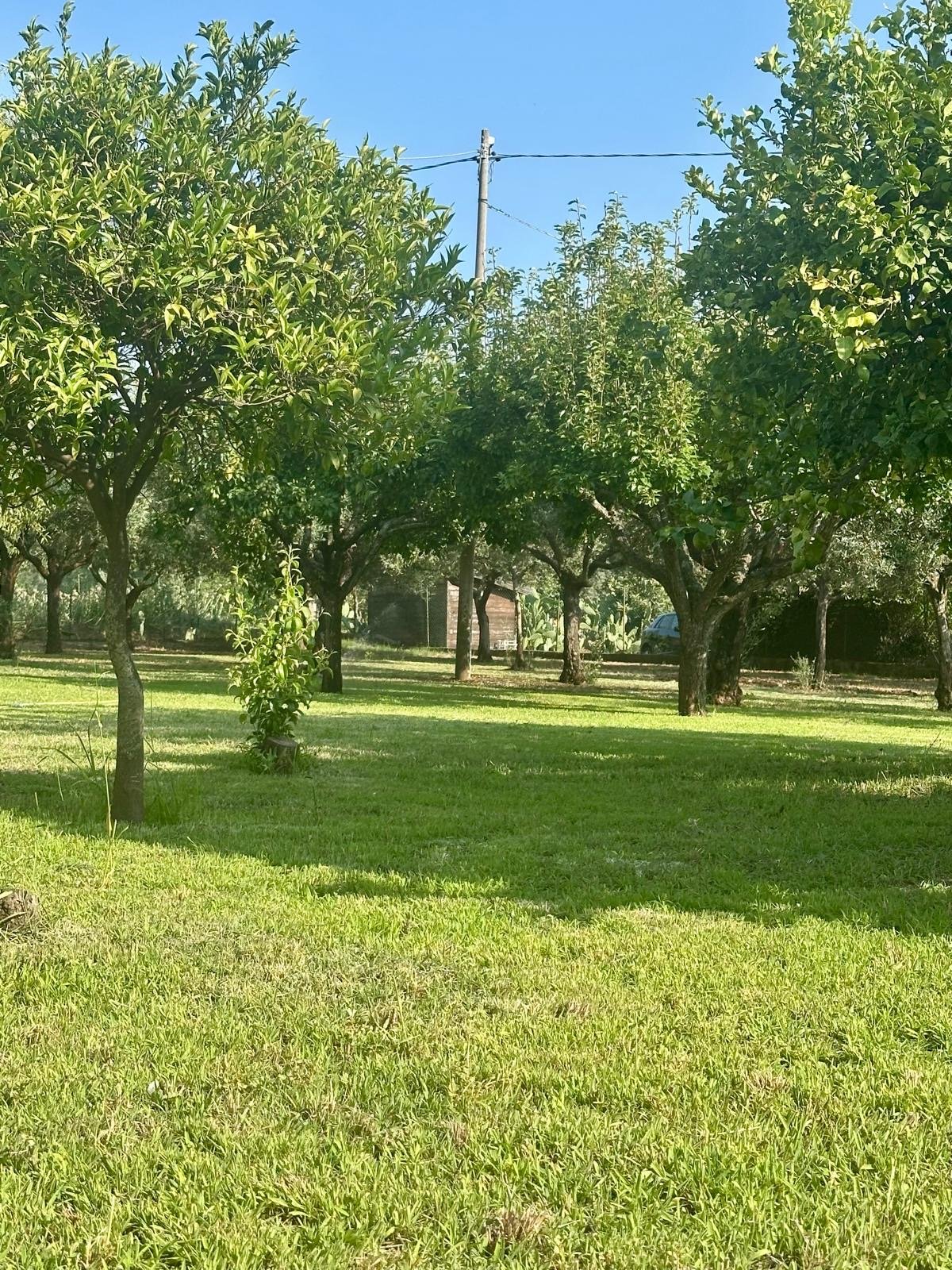 Ferienwohnung Capo Vaticano - Tropea