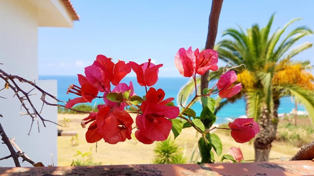 Appartement deux pièces pour 2 personnes avec cuisine et vue mer. Plage privée. Yoga au coucher du soleil.
