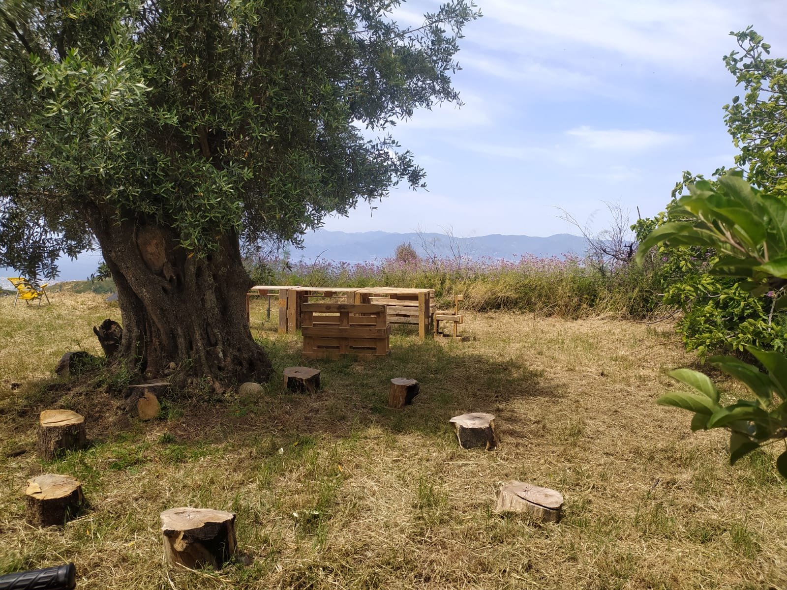 Case per le vacanze, bed and breakfast , agricampeggio, vendita di prodotti aziendali biologici, turismo delle esperienze, panificazione e corsi di cucina, trekking, eventi, tornei di burraco e bridge