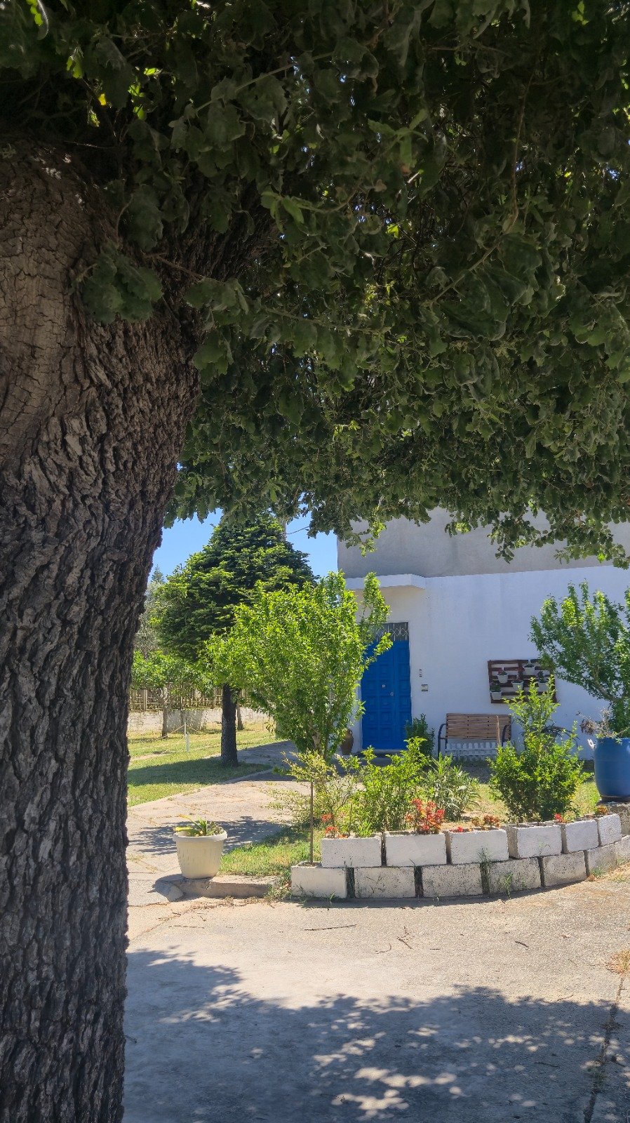 La Casa del Mastro