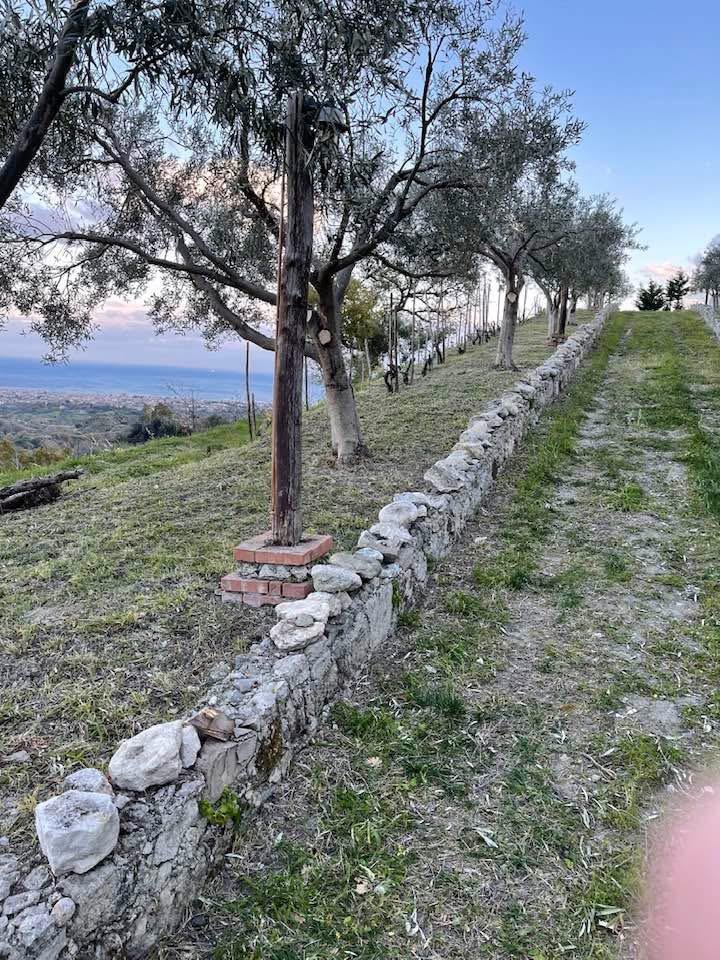 Villa mit Anwesen in den Hügeln von Siderno Superiore – zwischen Meer, Natur und Entspannung