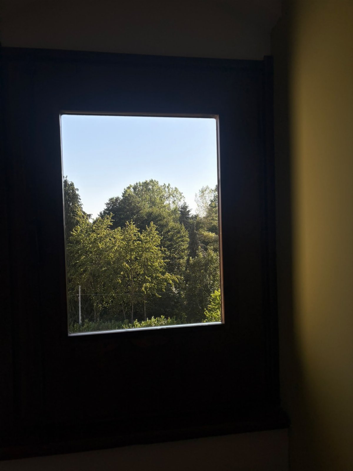 Miralago D'Arvo Lorica