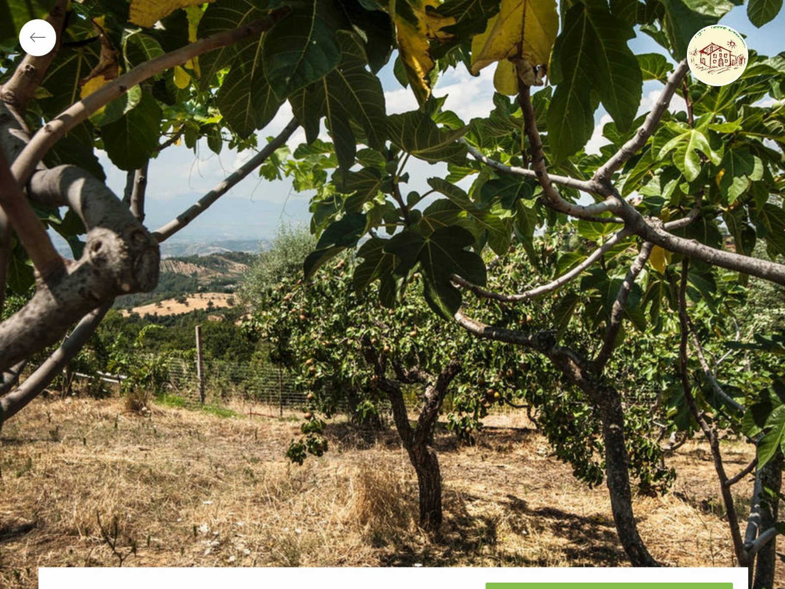 Agriturismo Miracco Atanasio Franco "Il Maniero"