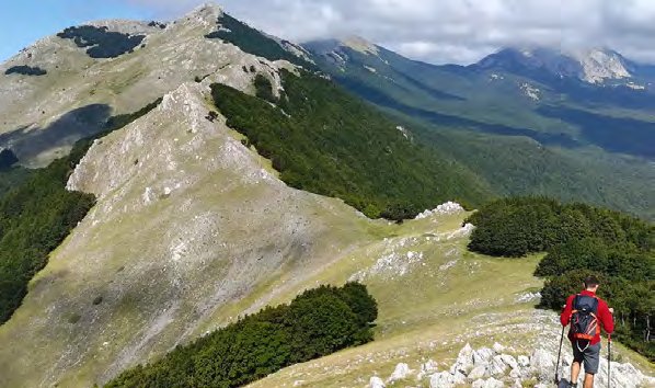 Albergo diffuso
