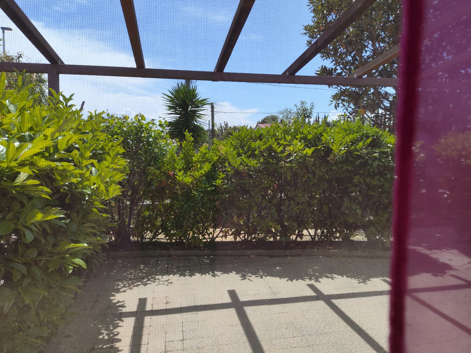 B&B Residence L' Ancora T8