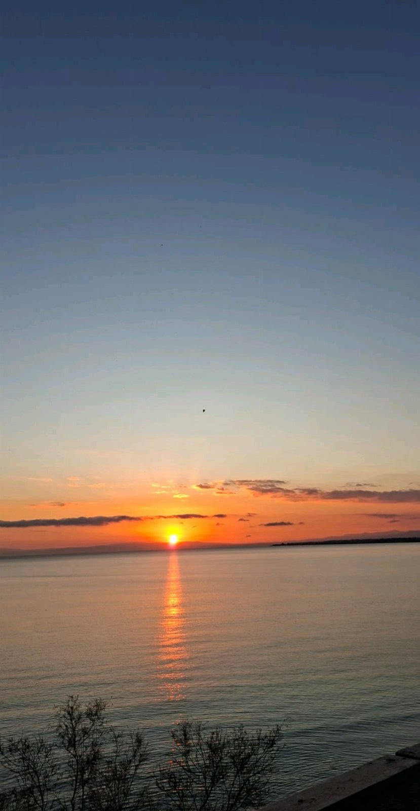 Location de vacances Rose e Mauris