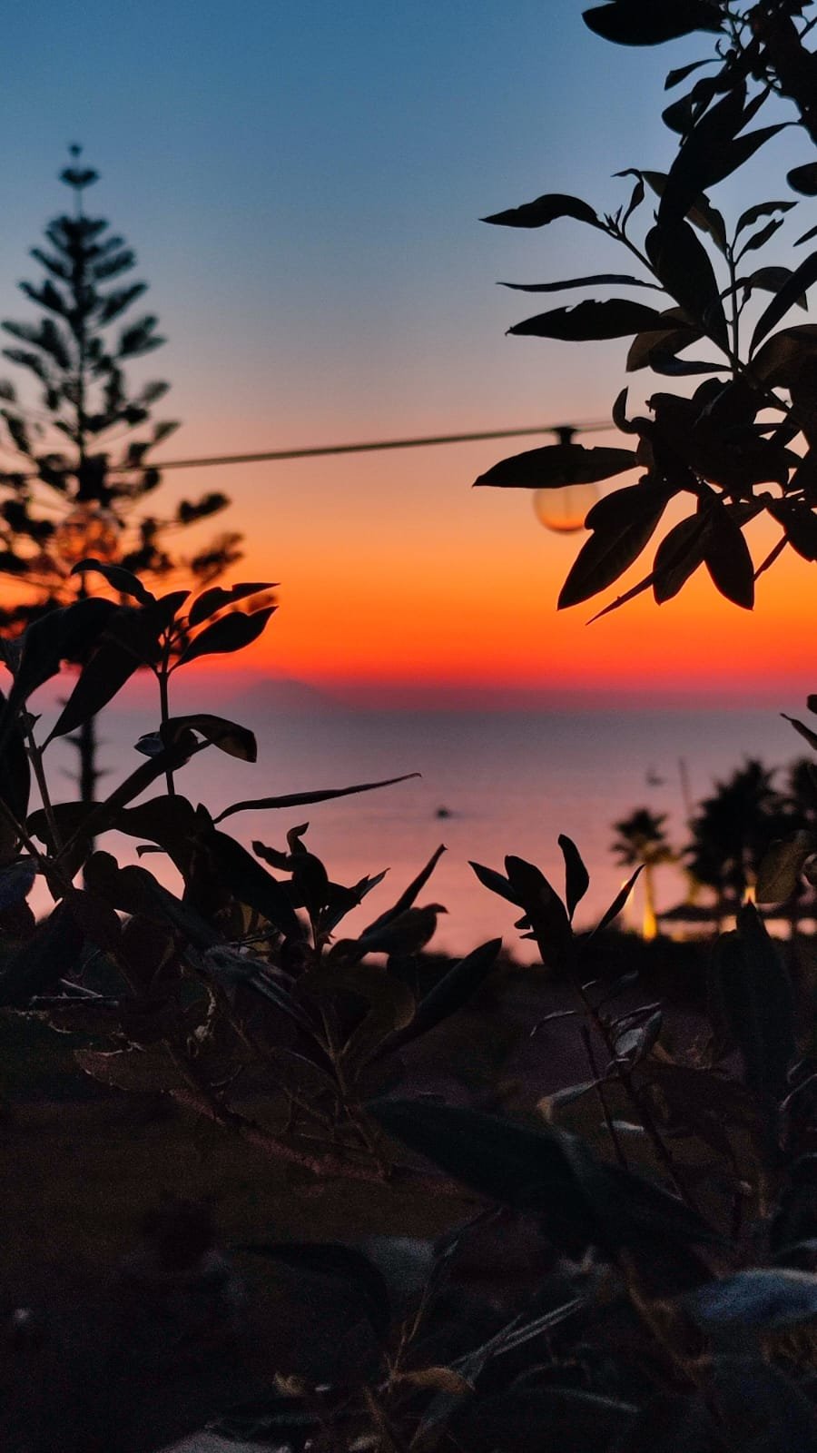 Capo Vaticano: Appartamenti Trilocale 3 posti con cucina vista mare. Spiaggia privata. Sunset Yoga