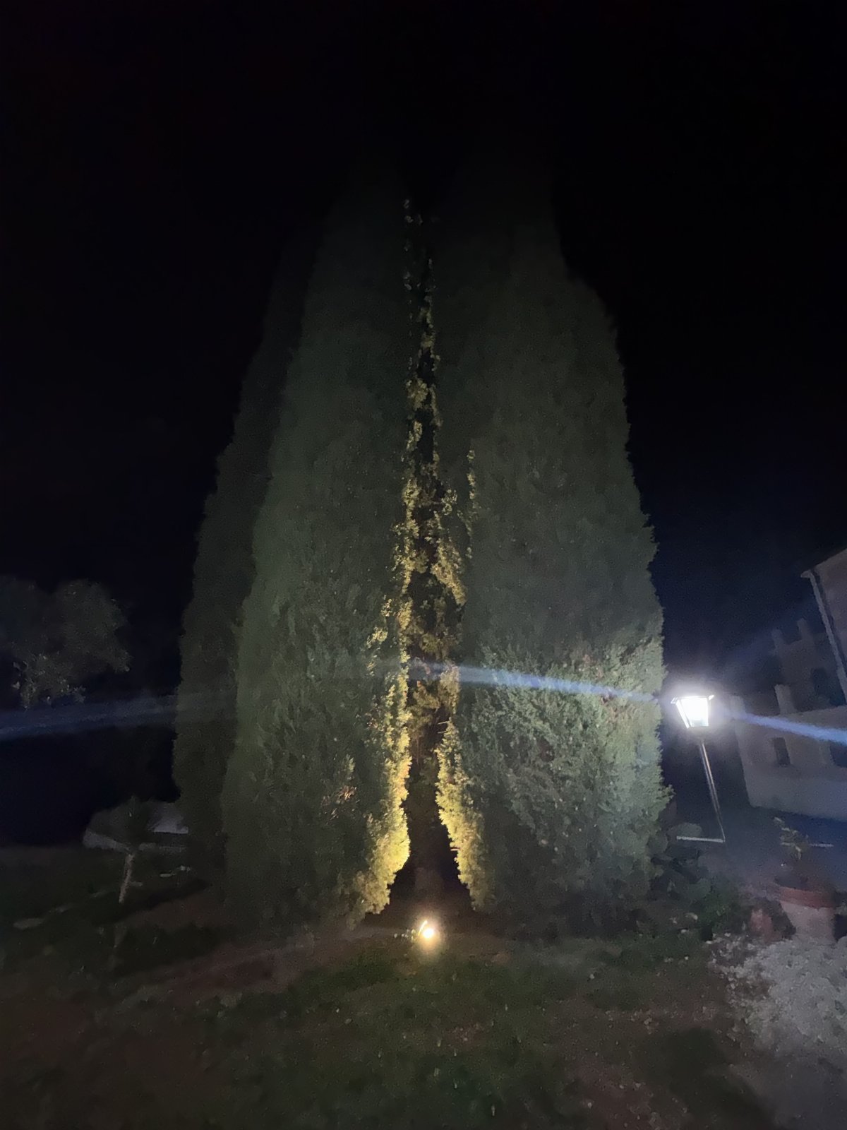 B&B Casa Vacanze Lydia offre la possibilità di usufruire o dell’ intero appartamento composto da 3 stanze e 2 letti con cucina e soggiorno o di anche solo le stanze con il bagno privato .