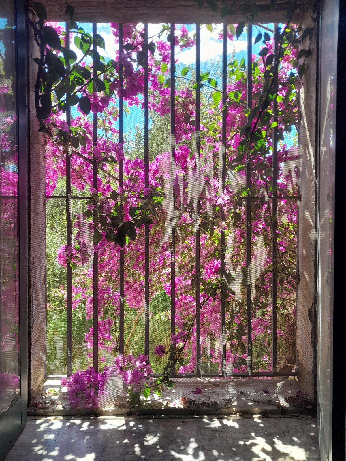 B&B Il Palazzo Cirella