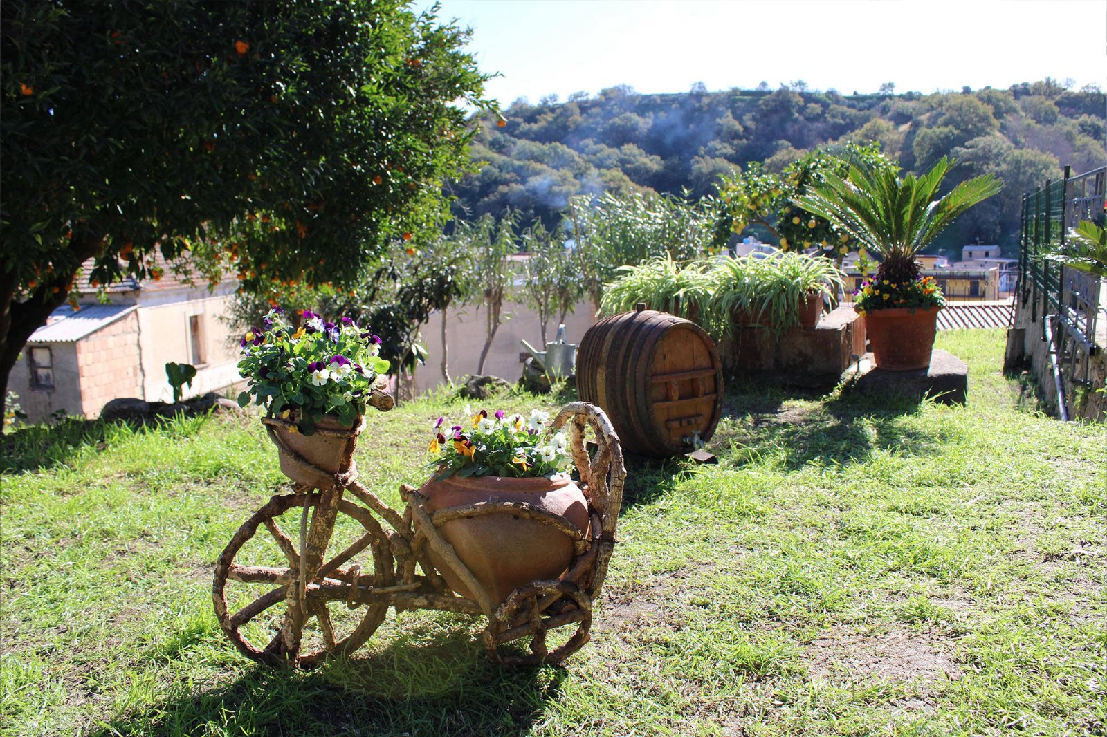 Antica Cantina Emilia – Country House nella natura a Reggio Calabria