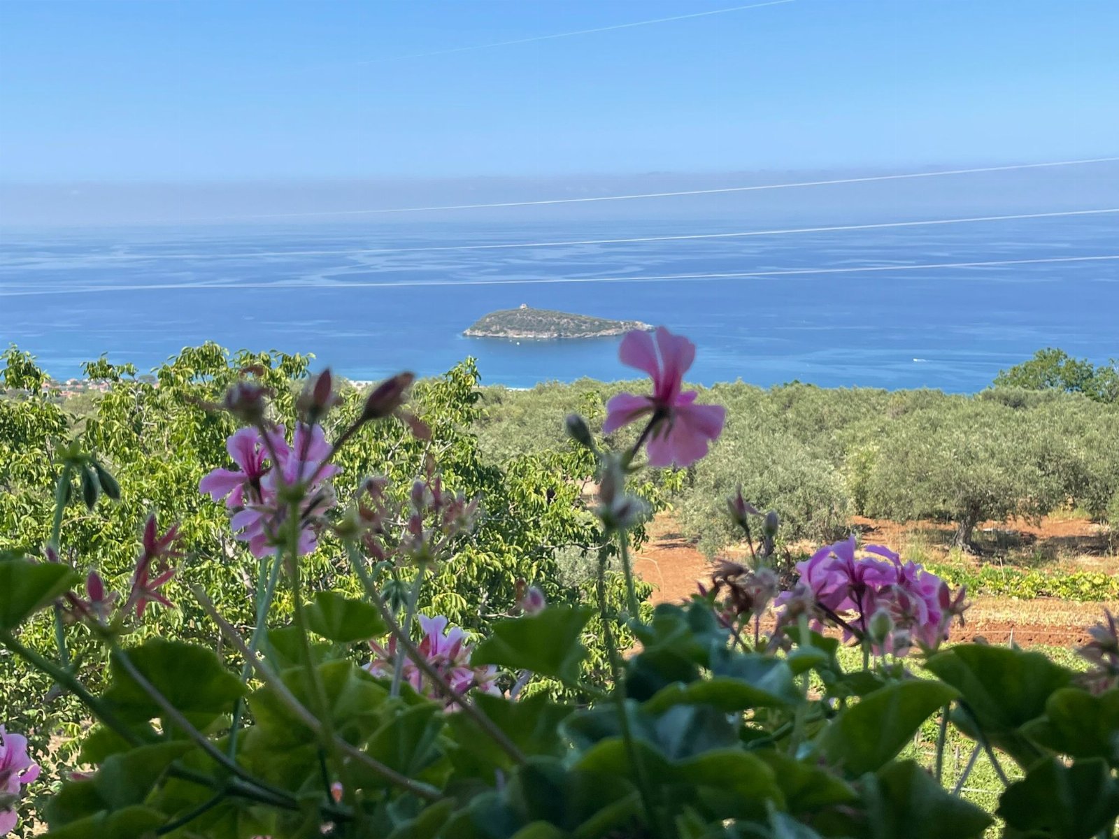 Agriturismo Montesalerno