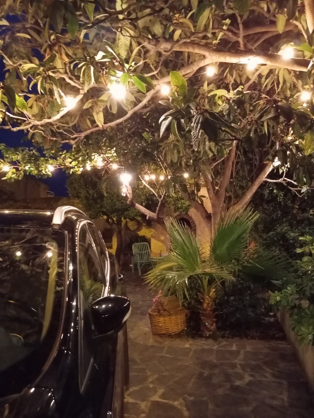 B&B Il Palazzo Cirella