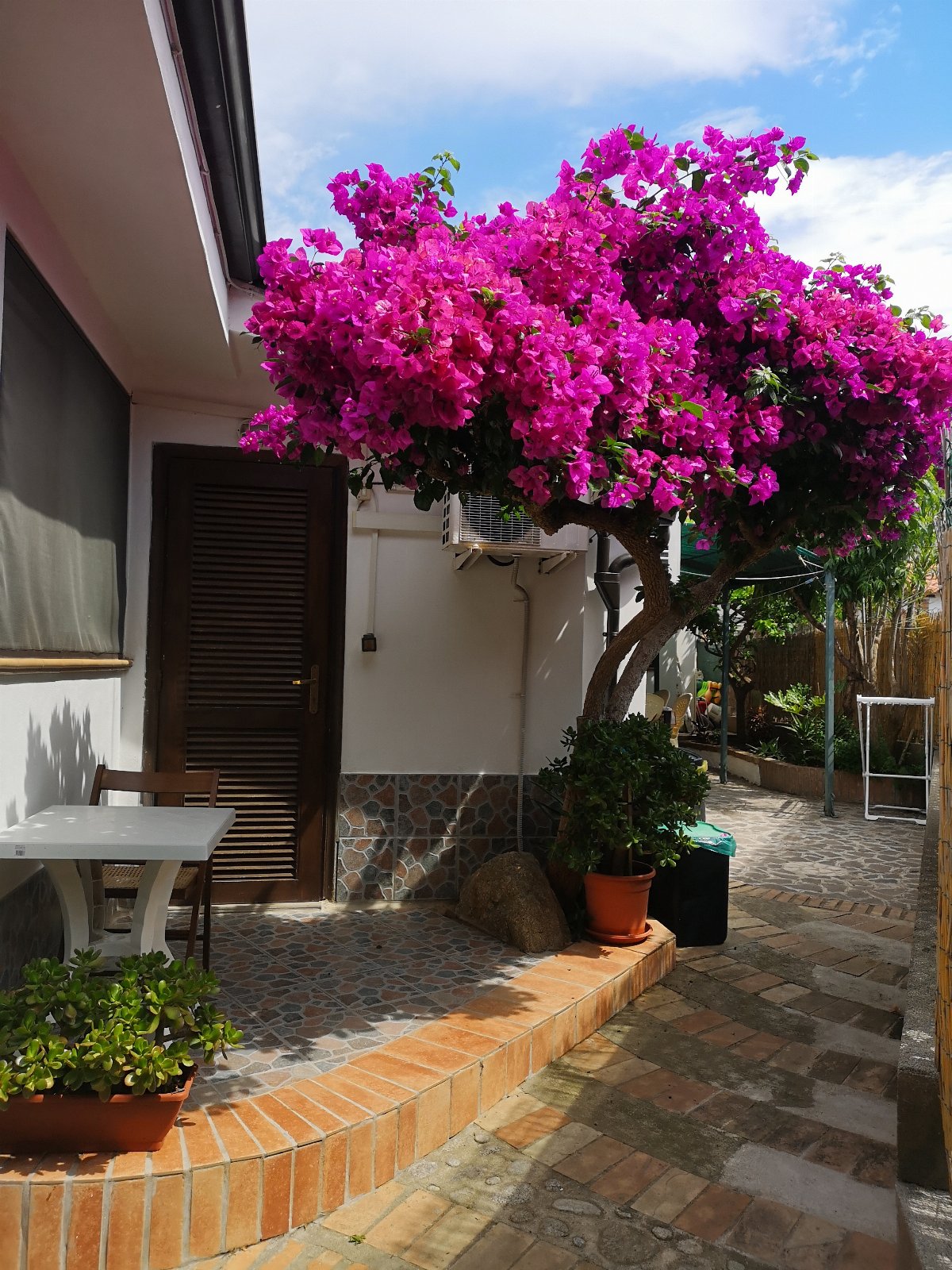B&B 2 km from Tropea, 350m from the sea